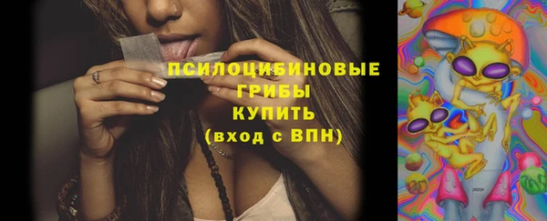 каннабис Богданович