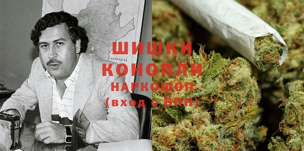 Альфа ПВП Богородск