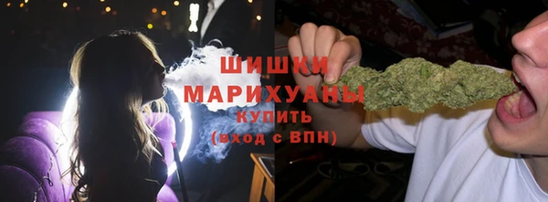Альфа ПВП Богородск