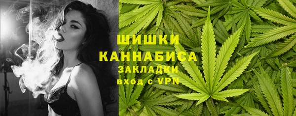 Альфа ПВП Богородск