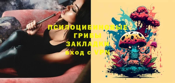 MDMA Богородицк