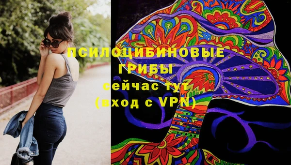 MDMA Богородицк