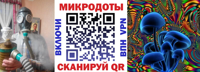 Галлюциногенные грибы Magic Shrooms  omg ONION  Киселёвск  наркошоп 